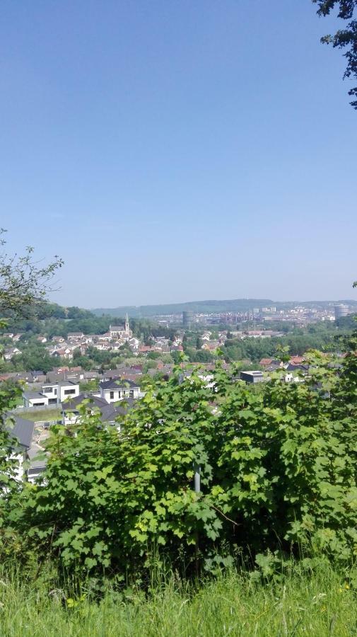 Ferienwohnung Niklas Völklingen Exteriör bild
